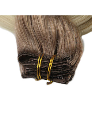 Ombre Blonde Clip in Hair Extensions (#6/#613)