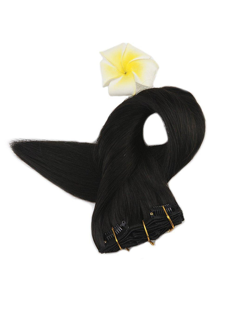 #1B Off Black Clip in Hair Extensions (#1B)