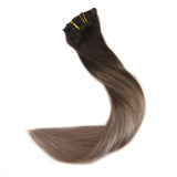 Ombre Extensions Clip in Hair Extensions #2#6#18