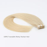 Tape in Hair Extensions #60 Platinum Blonde