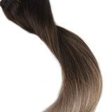 Ombre Extensions Clip in Hair Extensions #2#6#18