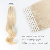Tape in Hair Extensions #60 Platinum Blonde