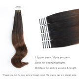 Tape In Hair Extension Ombre T#2/#4