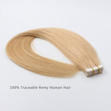 Tape In Hair Extensions #16 Golden Blonde