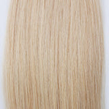 Tape In Hair Extension #24 Honey Blonde