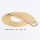 Tape In Hair Extension T #24/#60 Honey Blonde Ombre Ash Blonde